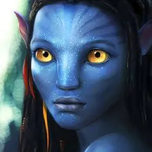 David P avatar