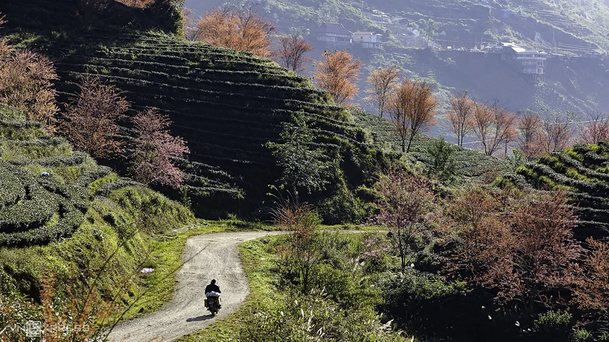 How to Get to Sapa