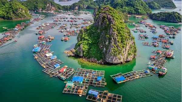 Things to do in Halong Bay