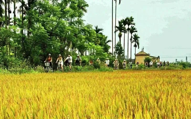 Kim Bong Carpentry Village