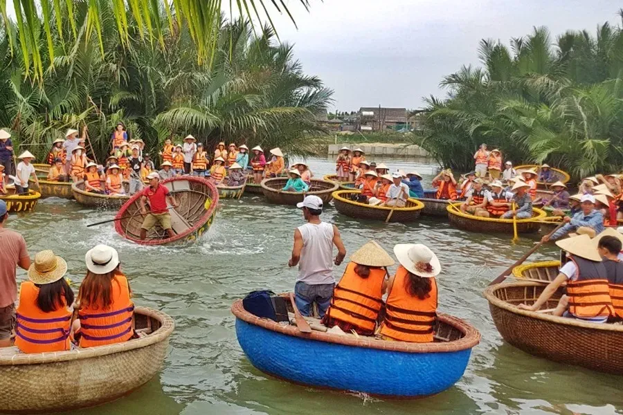 Where Is Bay Mau Coconut Forest? Ticket Prices and How to Get There