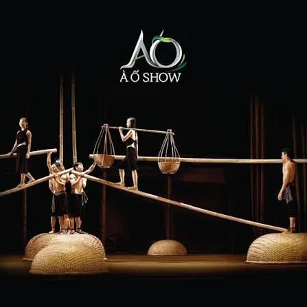 Experience Traditional Vietnamese Arts and Cultural Shows in Ho Chi Minh City