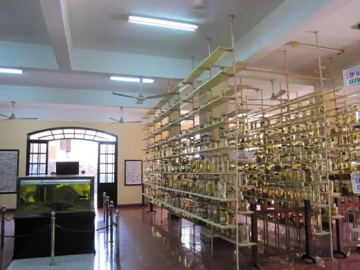 Discovering the Variety of Nha Trang Beach inside Oceanographic Museum of Vietnam