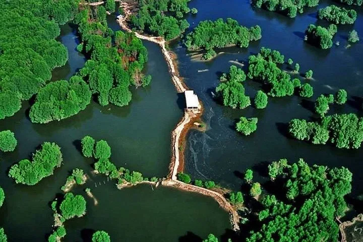 Can Gio Mangrove Forest Recognized as World’s Biosphere Reserve