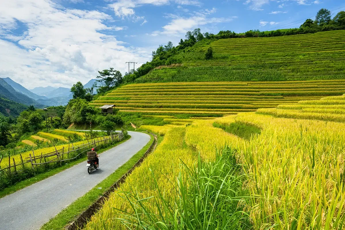 Sapa Travel Tips: 25 Essential Things to Know Before You Go